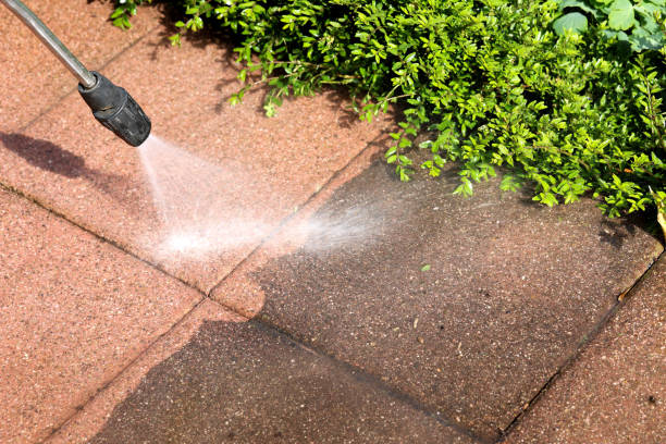 Best Roof Pressure Washing  in Vidalia, GA