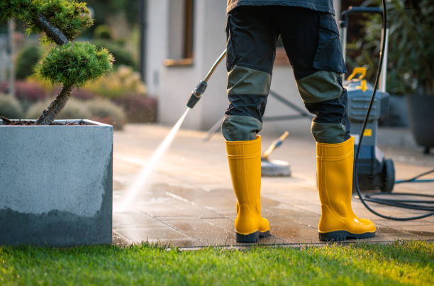 Local Pressure Washing Services in Vidalia, GA